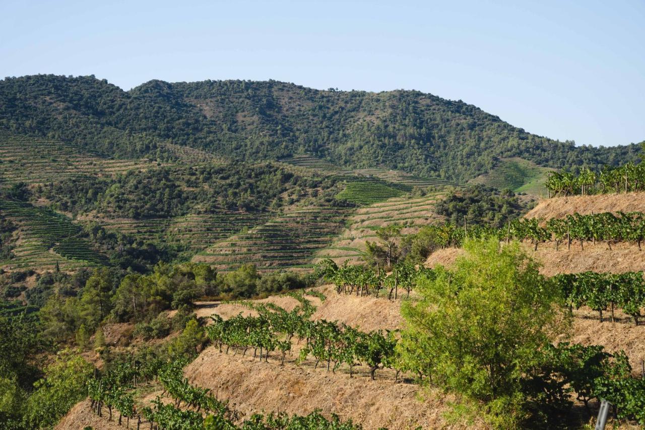Ora Hotel Priorat, A Member Of Design Hotels Torroja Bagian luar foto